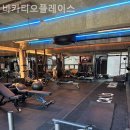 바카티오 이미지