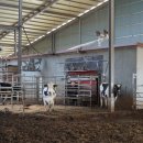 가덕축산 이미지