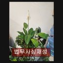 법무사심재성