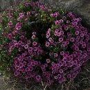 올레타이어샵 이미지