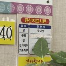 구들마루 | 대전 유성구 봉명동 소곱창 전골 맛집 [구들마루 유성점] 내돈내산 방문후기