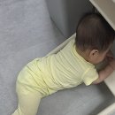 도노도노 맘마존 하이체어 아이보리 칼라 사용후기 - 6개월 8kg 아기 이유식 의자, 하이체어 쿠션