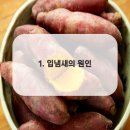 큐플란트치과의원 이미지