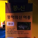 붕어의 신 이미지