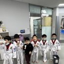용인대 매교태권도장 이미지