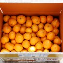 준우농장 이미지