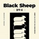 블랙쉽 - 미추홀구 인하로67번길 24-23 | 블랙쉽