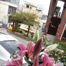 이상열농장 이미지