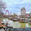 주약현대아파트 마을도서관 다락 | #240117 네덜란드 여행 - 로테르담, Cube Houses 등