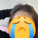 머리나라헤어라인 이미지