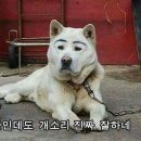 DK멀티짐 이미지