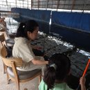 신가리낚시터 이미지