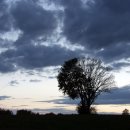 신성카센터 이미지