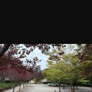 아빠의나무 야영장 | M사이트 고객후기