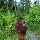 대정로36번길 이미지