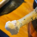 호맥 평택역점 | 평택역 호맥 안주맛집 호떡이 맛있는 맥주집 - M4학래 일상 (BMW김학래)