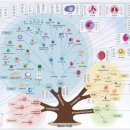 (주)HMK   ` 이미지