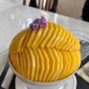 에그망고 | 김포 망고빙수 맛집 카페베라 마산동 나따오비까 에그타르트 생망고 눈꽃빙수 내돈내산 후기