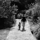 보문산로 이미지