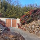 스테이 인 블루 이미지