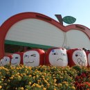 장수한누리전당 너울관 수영장 이미지