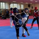 금빛태권도 이미지