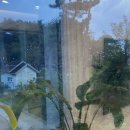 슈슈풀빌라 이미지