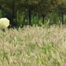 [오늘의 날씨] 전남 남해안·제주 가을비…낮 최고 23∼27도 이미지