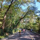 한양도성(남산구간) 이미지