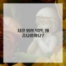 구미덴트하우스