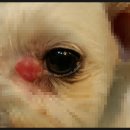 행담 동물병원 이미지