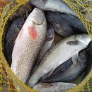 바다랜드 이미지