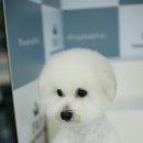 라비동물병원 이미지