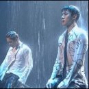메아트