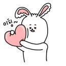 더마렉스코리아 이미지