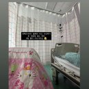 대원한방병원 | 대전 을지대학교병원 입원 후기 : 교통사고 늑골골절 (feat. 필한방병원)