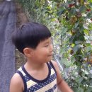 연우네 농장 이미지