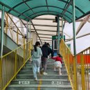 피시랜드 | 광주가볼만한 곳 벅스랜드 방문 후기 | 곤충박물관 먹이체험 완전 정복!