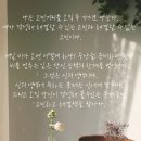 북분교 | [북리뷰] 필사하며 깨달은 돈, 변화, 인간관계의 지혜:『세이노의가르침』