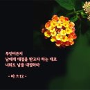 복음신발 이미지