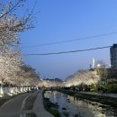 GS25 천안원성천점 네이버블로그