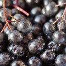 동양건강원 이미지