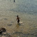 아보카(AVOCA) 이미지