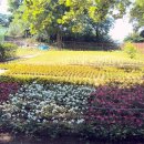 돈암2동자치회관 이미지