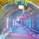 유명산자연휴양림 이미지