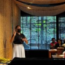 케이케이푸드 | 대만 온천 분위기 좋은 트리오 온천 방문 예약팁 애프터눈티 후기