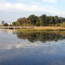 서수원홈플러스 앞 이미지