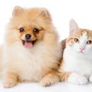 뉴월드 동물병원 이미지