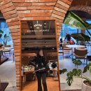 살롱드 아웃독 | 가평아난티카페 추천 편집샵 살롱드 이터널저니 부대시설 총정리