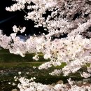 소리천로(3) 이미지